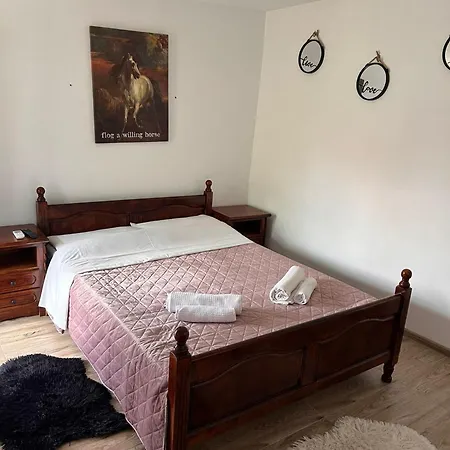 Casuta Galbena - Gradina, Parcare, Bucatarie, Foisor & Bbq - *